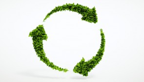 Green cleaning products are the right decision when trying to make your business more sustainable.